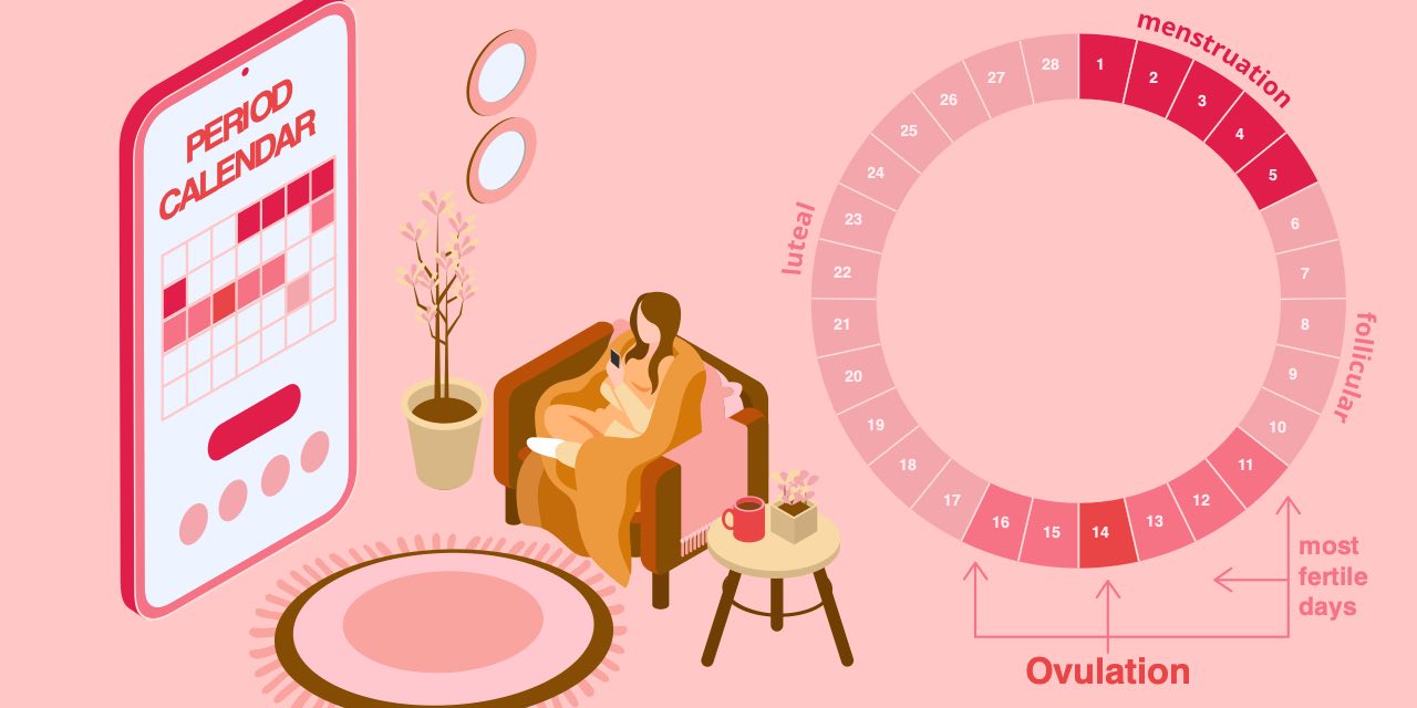 An ovulation calculator is a valuable tool for women tracking their menstrual cycles and planning for pregnancy.