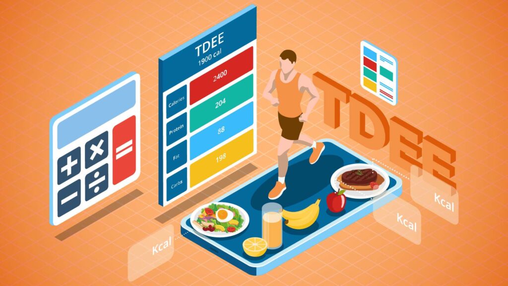 TDEE Calculator: Calculate your Total Daily Energy Expenditure (TDEE) effortlessly with our TDEE Calculator.