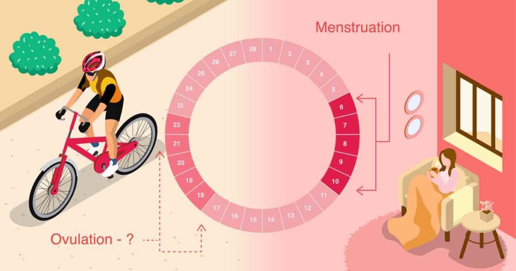 Period Calculator